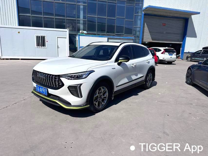 HAVAL 2022 Jolion Pro Jingxiang Edition 1.5T Purple Copper Rabbit