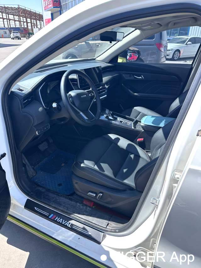 HAVAL 2022 Jolion Pro Jingxiang Edition 1.5T Purple Copper Rabbit