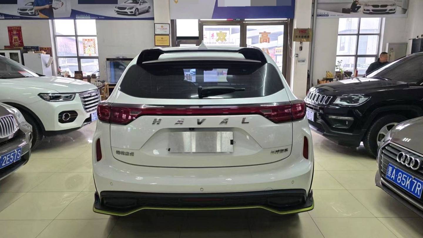 HAVAL 2021 Jolion Pro Jiqing version 1.5T Golden Rabbit