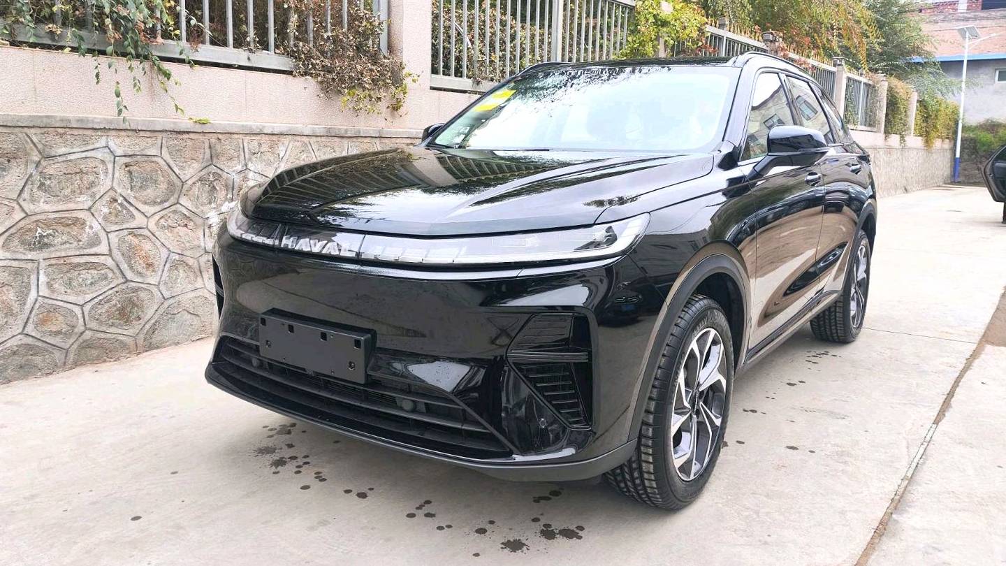 HAVAL 2025 XIAOLONG MAX Hi4 165 Plus Long Range Edition