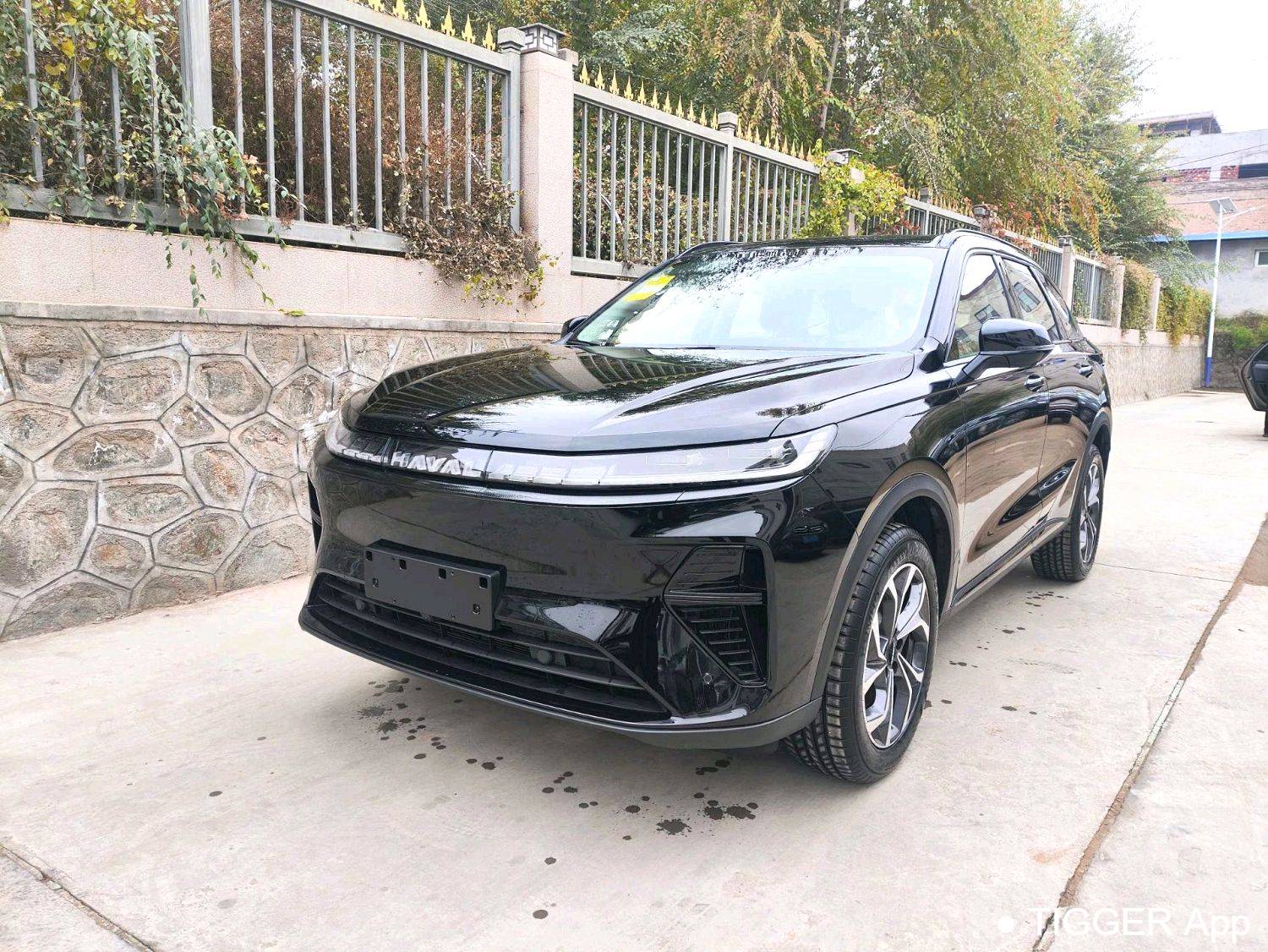 HAVAL 2025 XIAOLONG MAX Hi4 165 Plus Long Range Edition