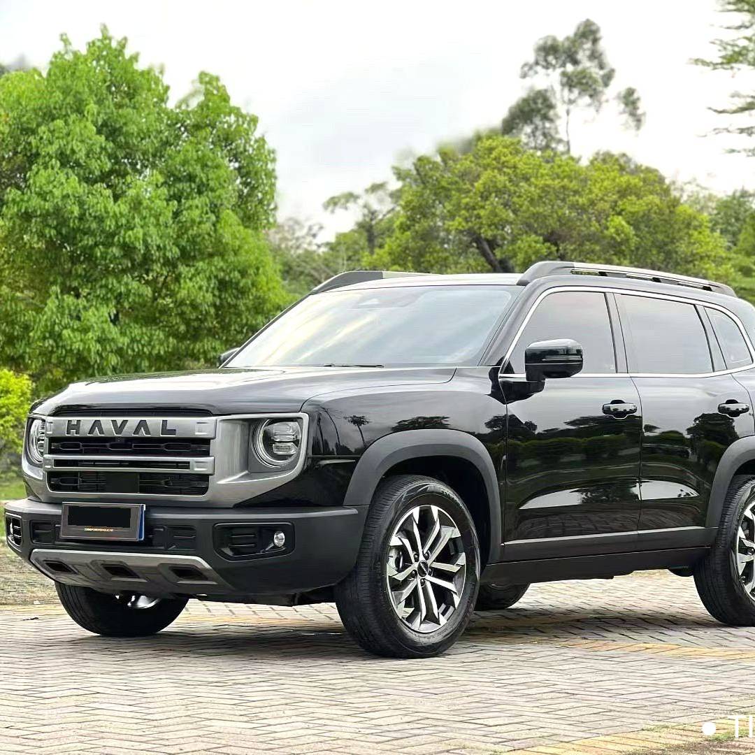 HAVAL 2024 DARGO 1.5T DCT border collie Edition Used Car