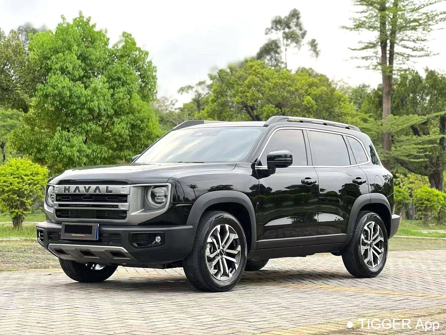 HAVAL 2024 DARGO 1.5T DCT border collie Edition