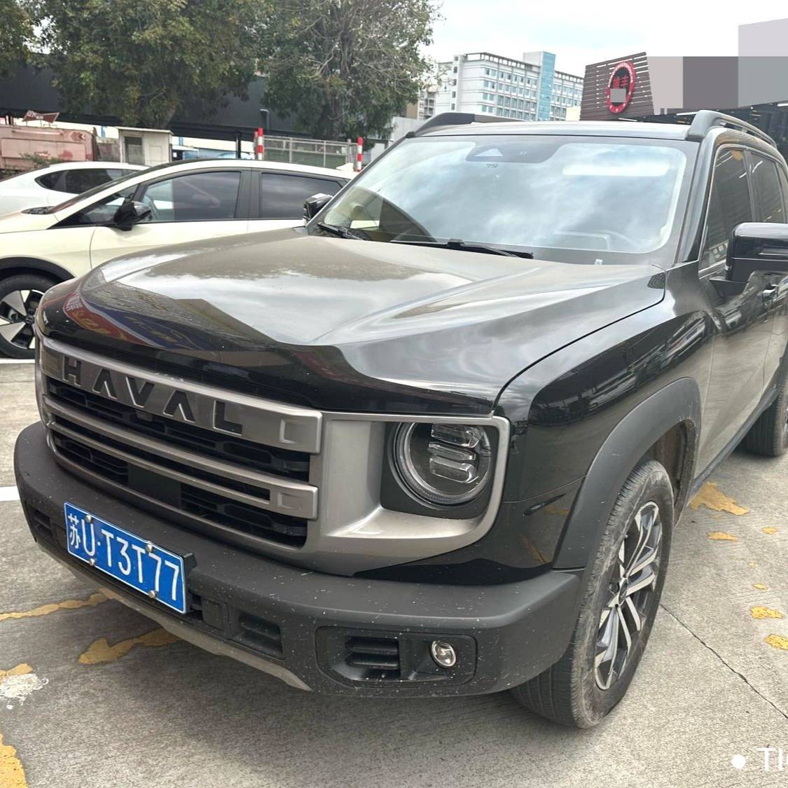 HAVAL 2024 DARGO 1.5T DCT border collie Edition Used Car