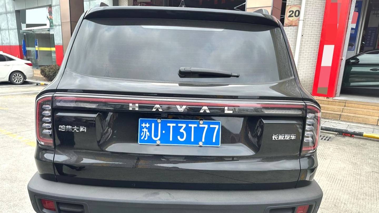 HAVAL 2024 DARGO 1.5T DCT border collie Edition