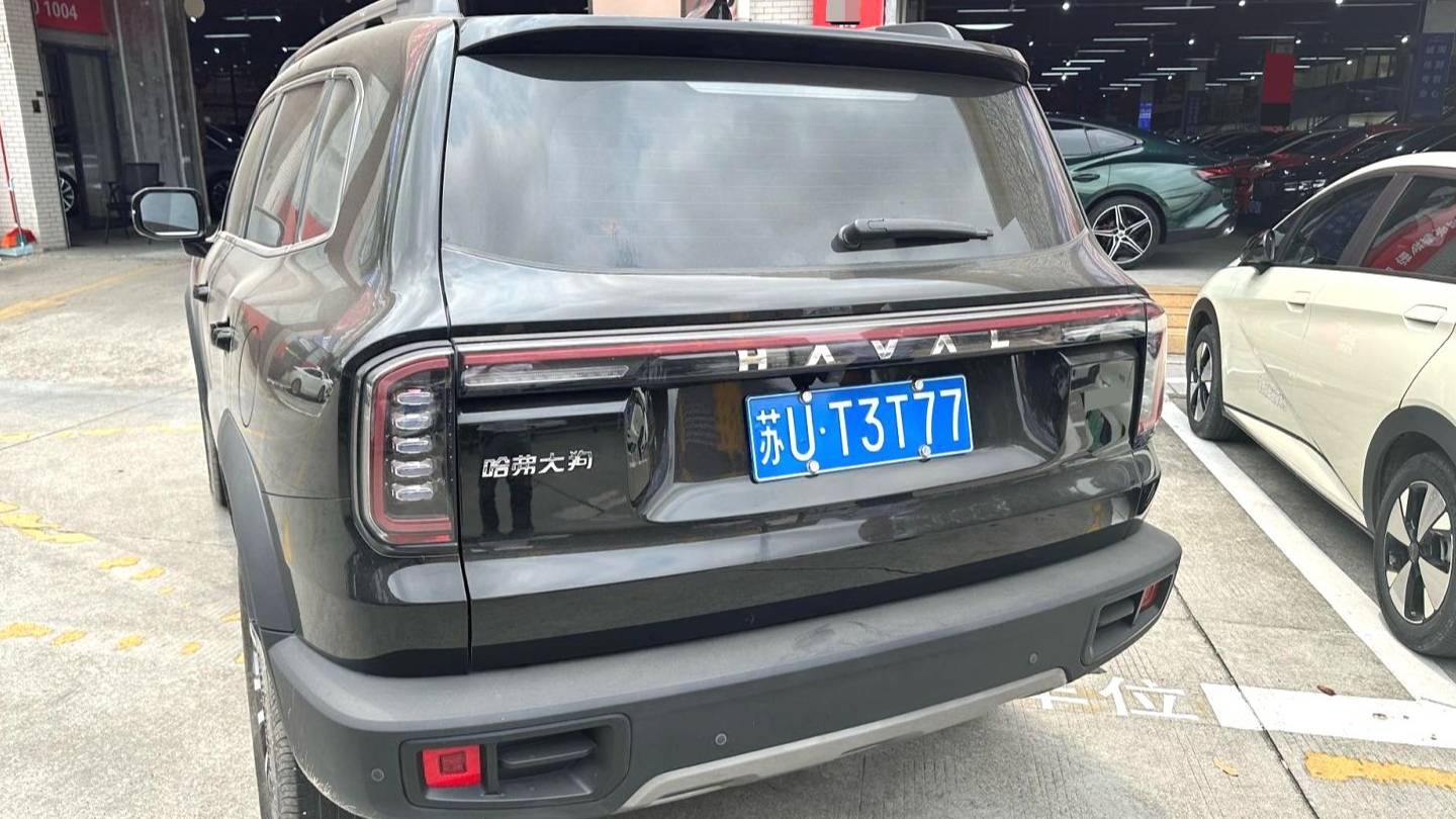 HAVAL 2024 DARGO 1.5T DCT border collie Edition