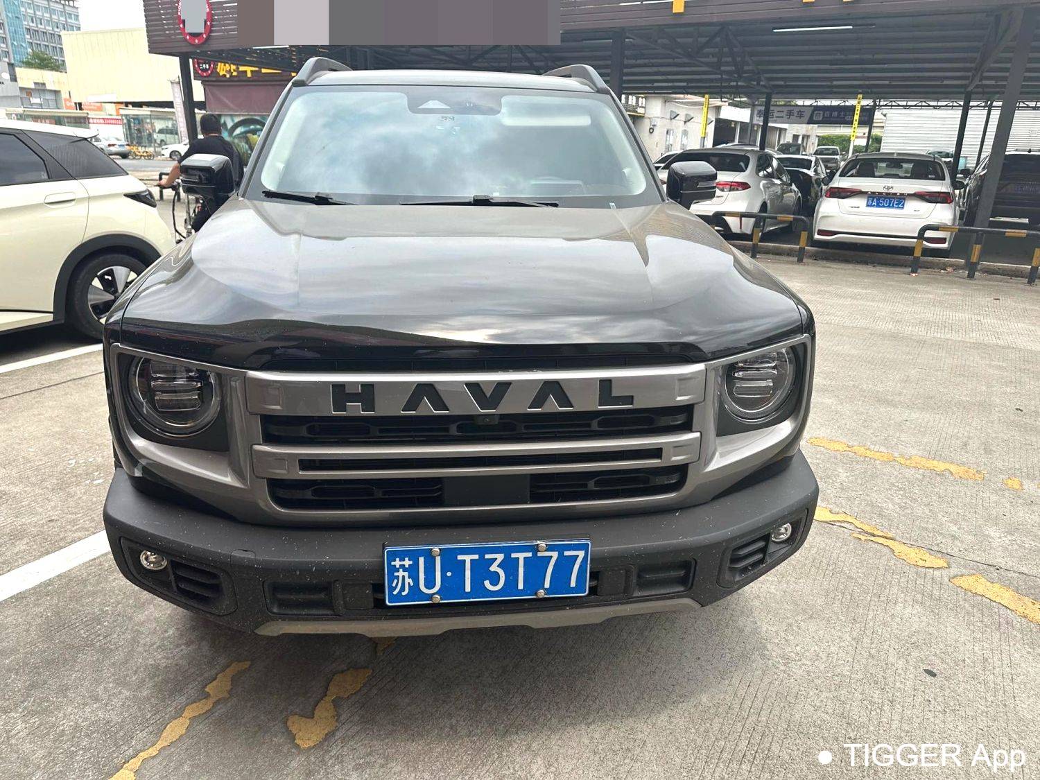HAVAL 2024 DARGO 1.5T DCT border collie Edition