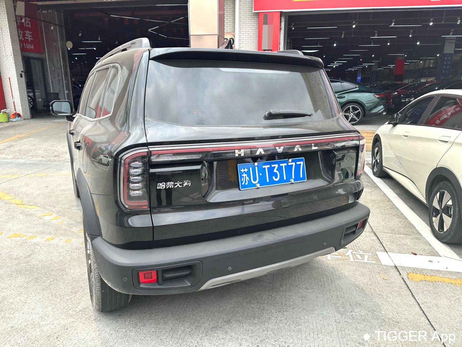 HAVAL 2024 DARGO 1.5T DCT border collie Edition