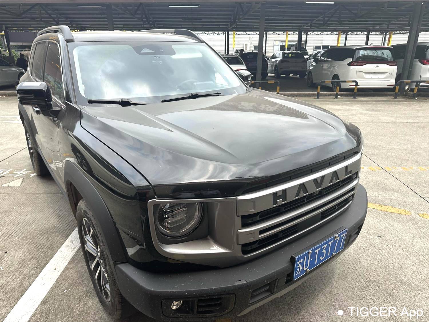 HAVAL 2024 DARGO 1.5T DCT border collie Edition