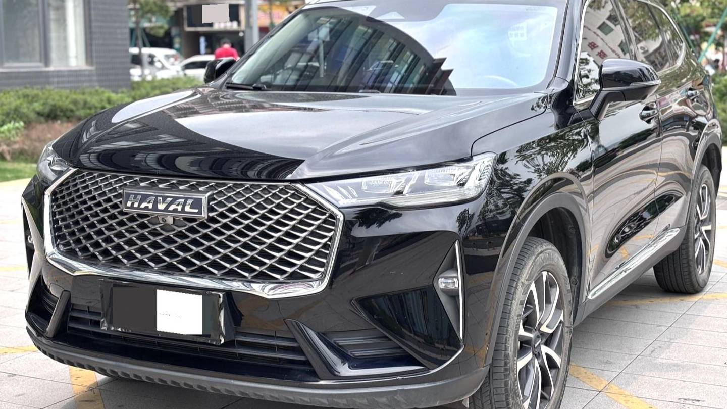 HAVAL 2022 H6 1.5T two wheel drive Max