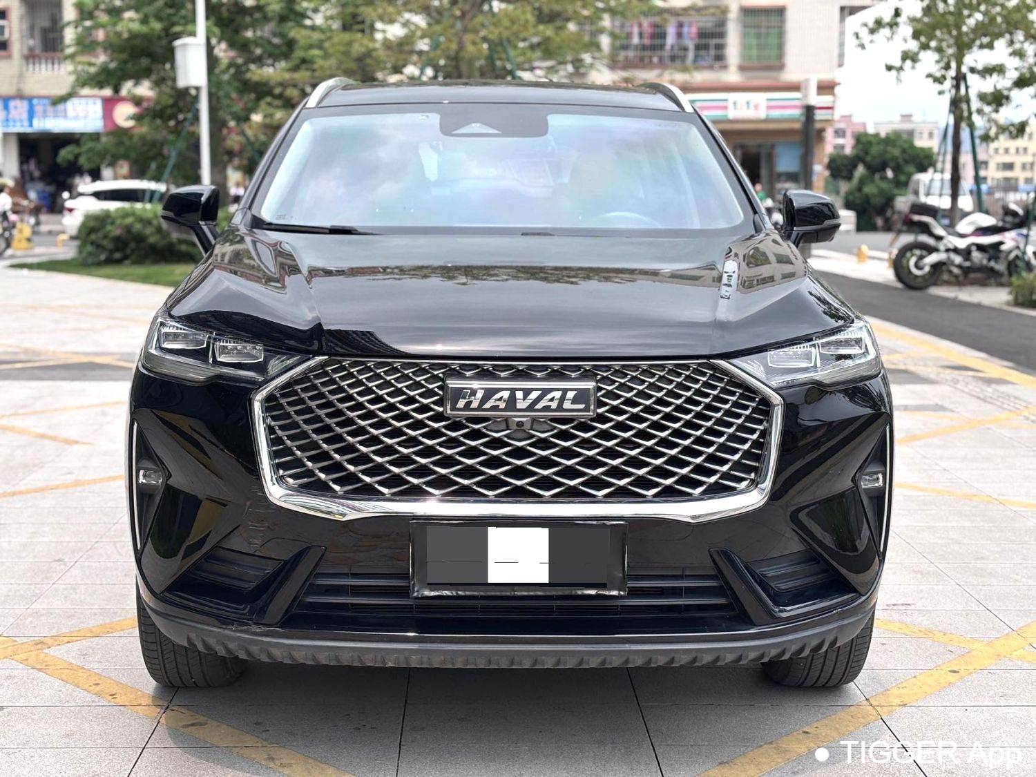 HAVAL 2022 H6 1.5T two wheel drive Max