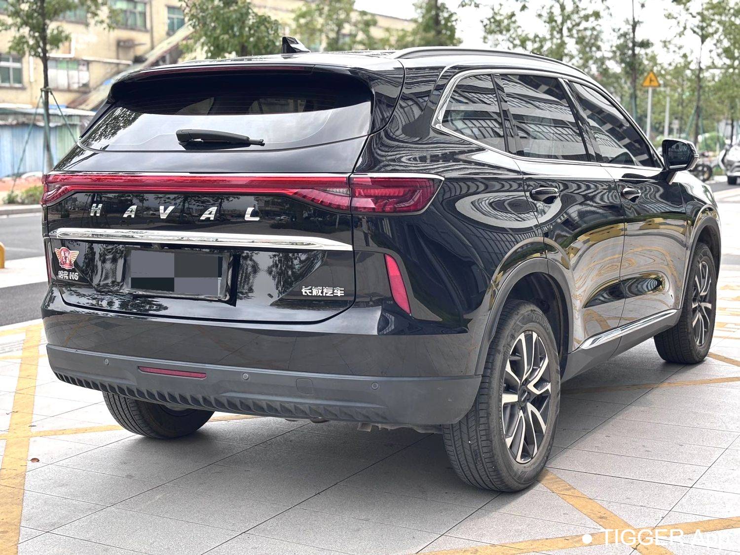 HAVAL 2022 H6 1.5T two wheel drive Max