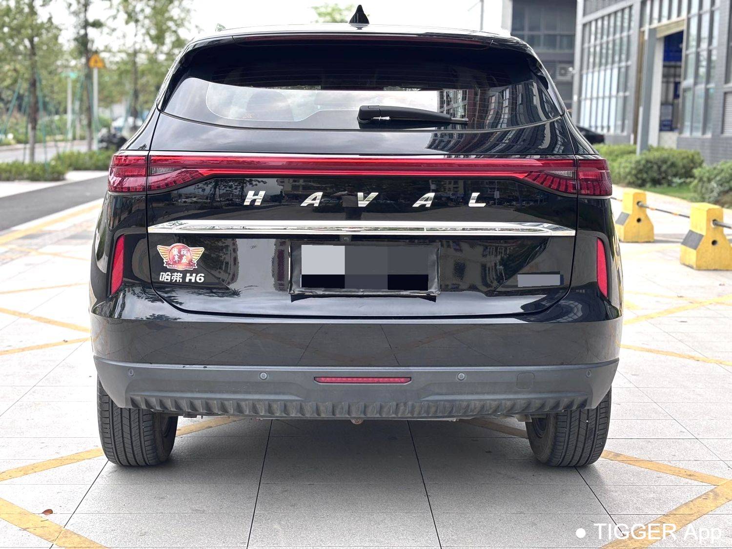 HAVAL 2022 H6 1.5T two wheel drive Max