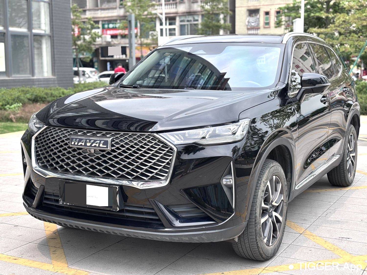 HAVAL 2022 H6 1.5T two wheel drive Max