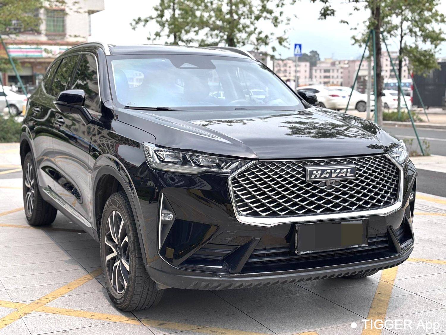 HAVAL 2022 H6 1.5T two wheel drive Max