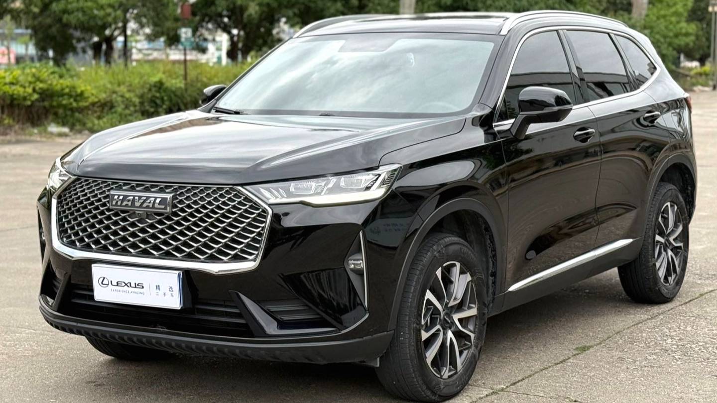 HAVAL 2022 H6 1.5T two wheel drive Pro