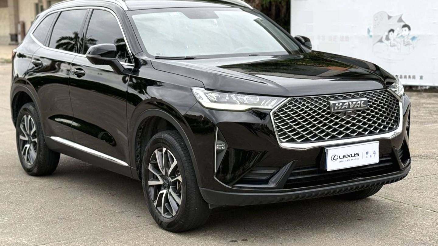 HAVAL 2022 H6 1.5T two wheel drive Pro