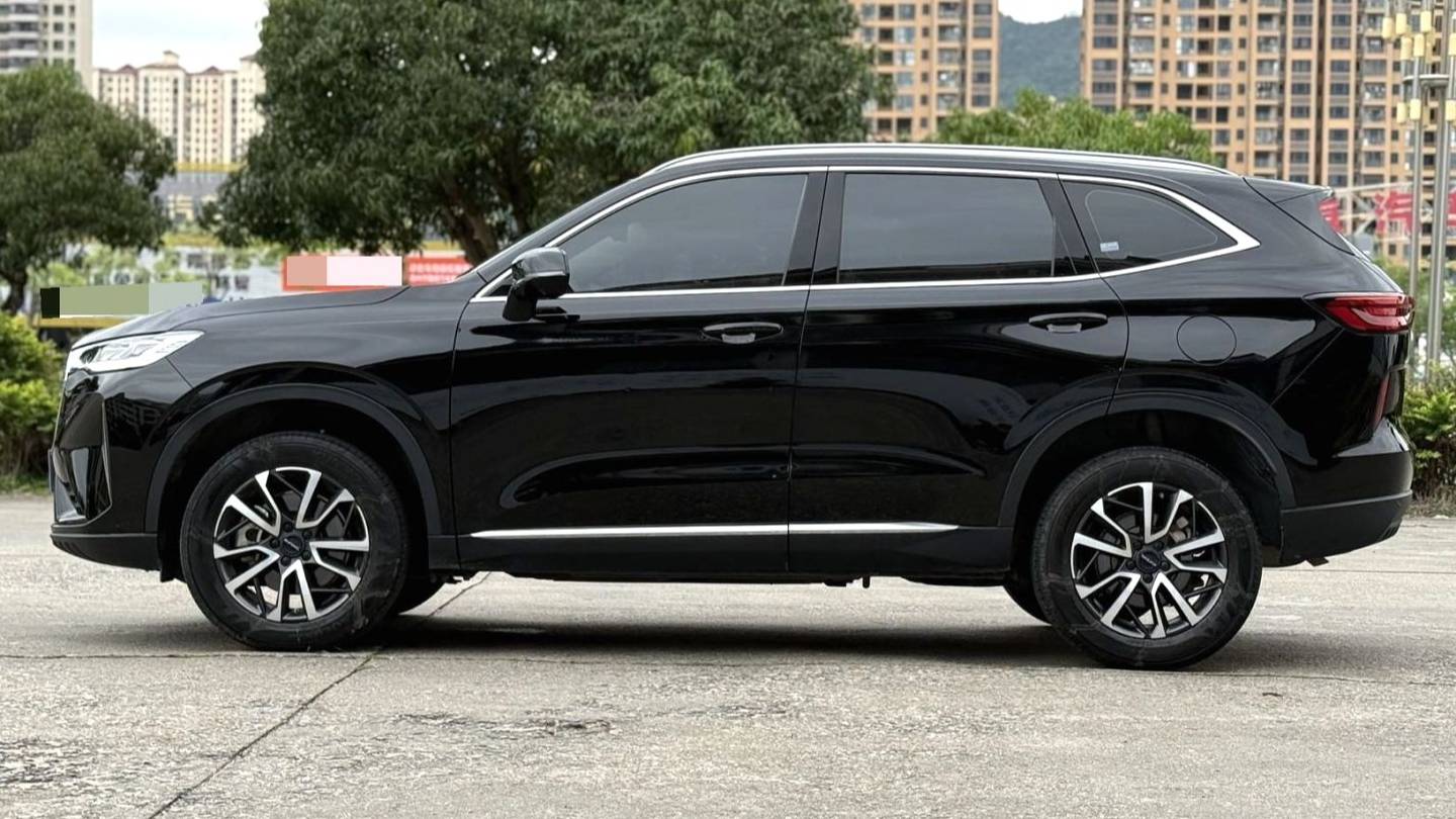 HAVAL 2022 H6 1.5T two wheel drive Pro