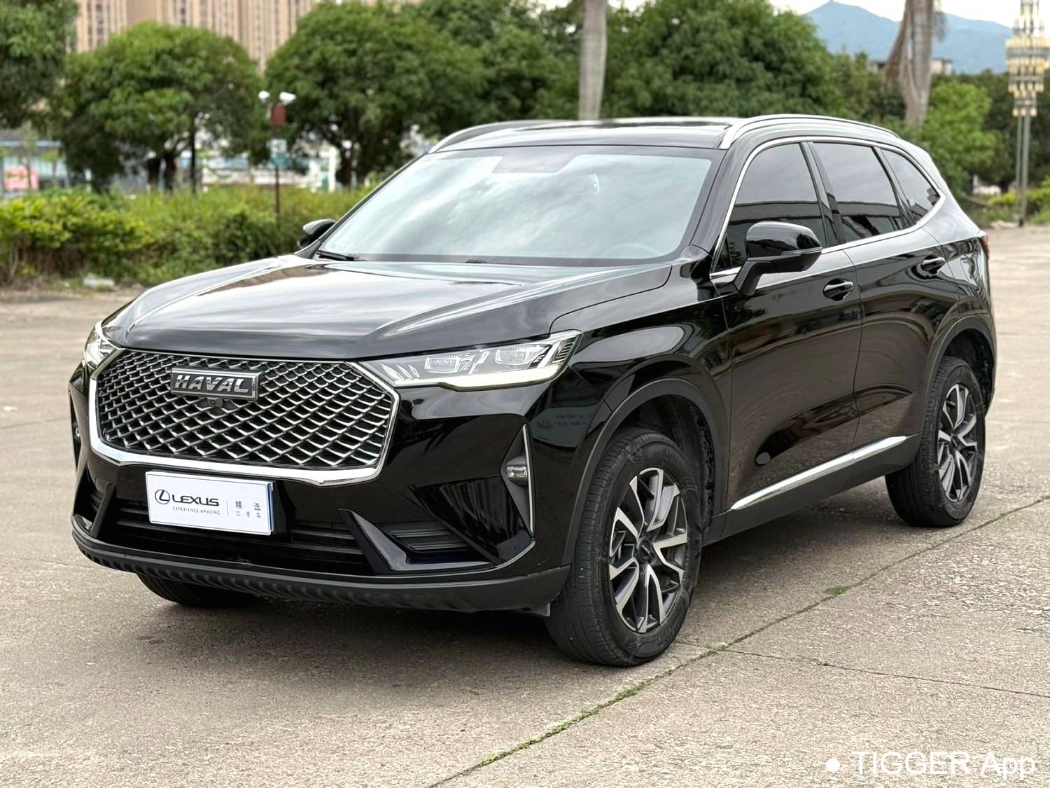 HAVAL 2022 H6 1.5T two wheel drive Pro