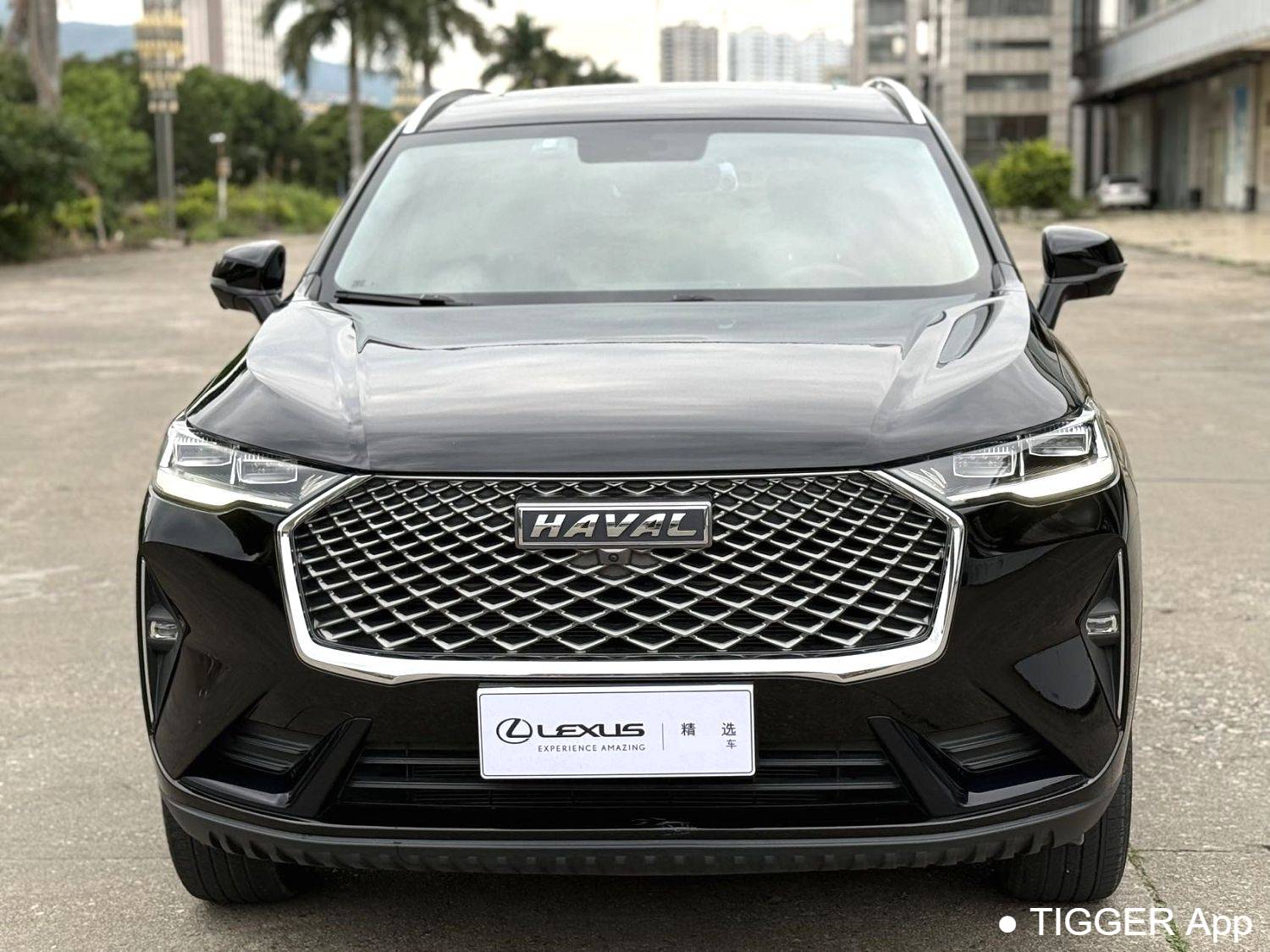 HAVAL 2022 H6 1.5T two wheel drive Pro