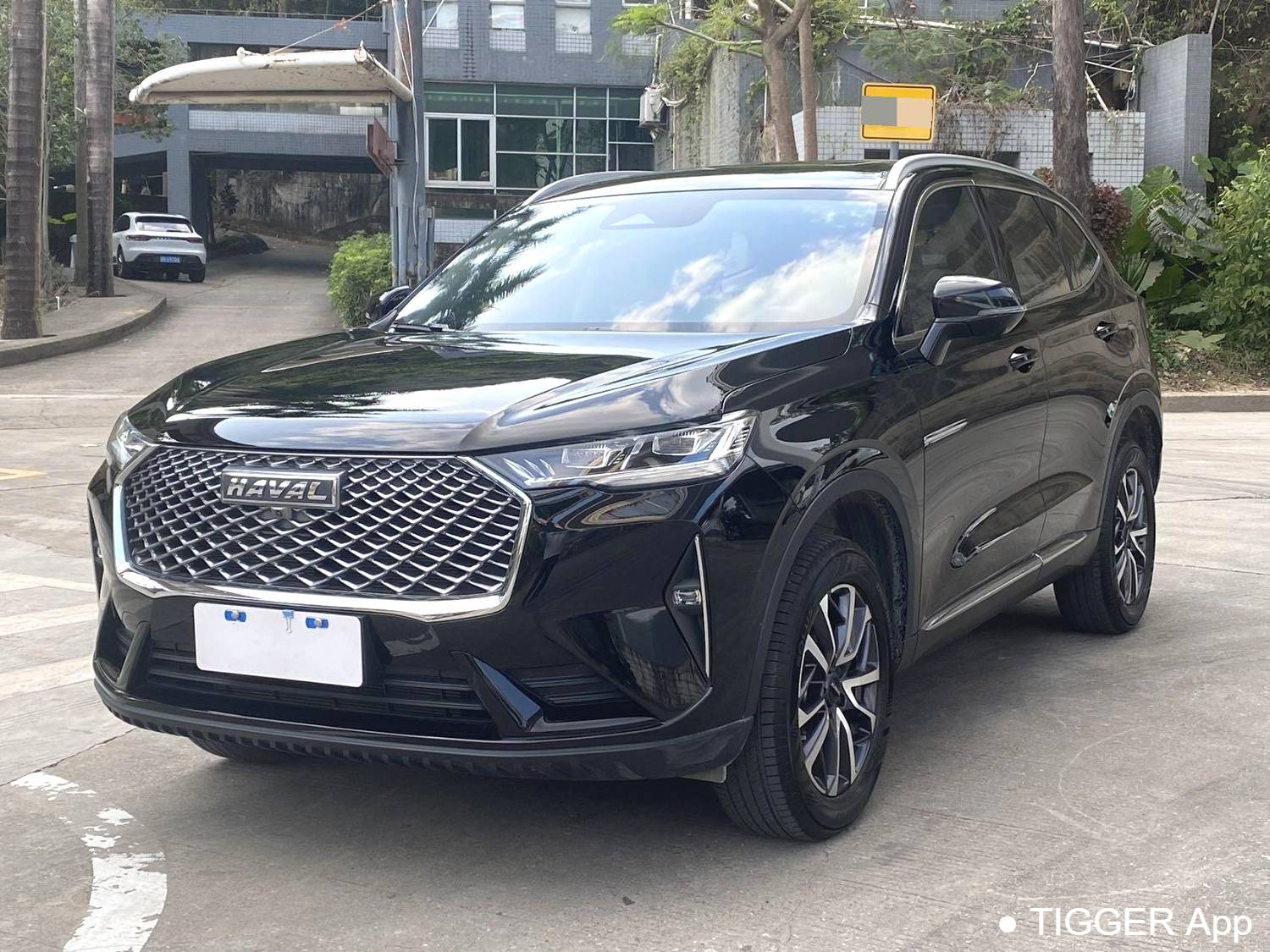 HAVAL 2022 H6 1.5T two wheel drive Max