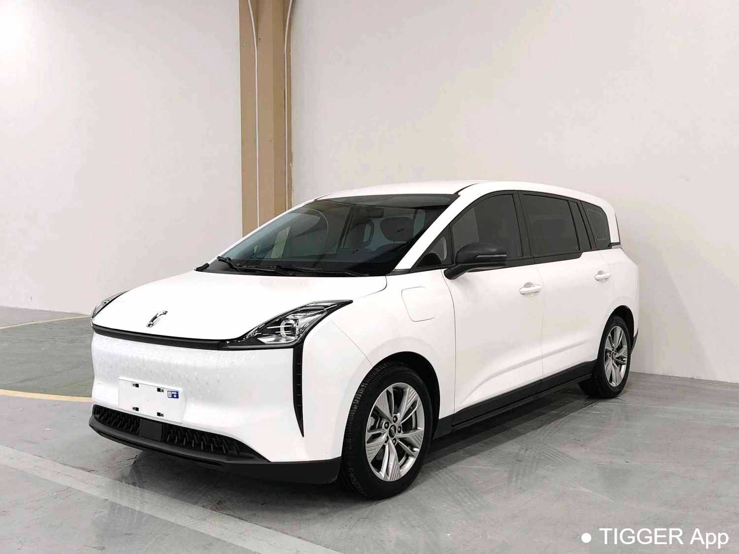 BESTUNE 2022 NAT Enjoyment Travel Edition 100kW 419km