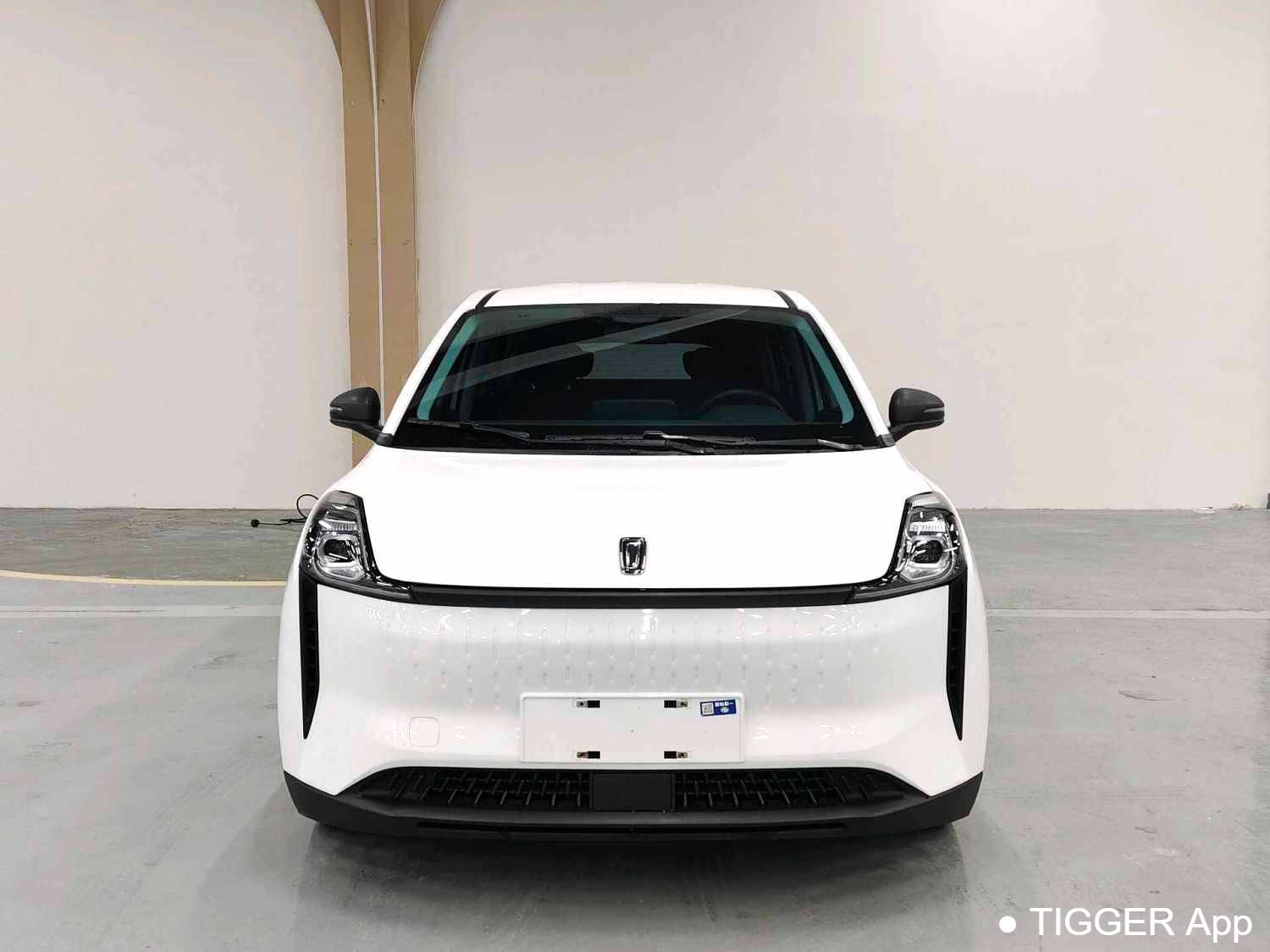 BESTUNE 2022 NAT Enjoyment Travel Edition 100kW 419km