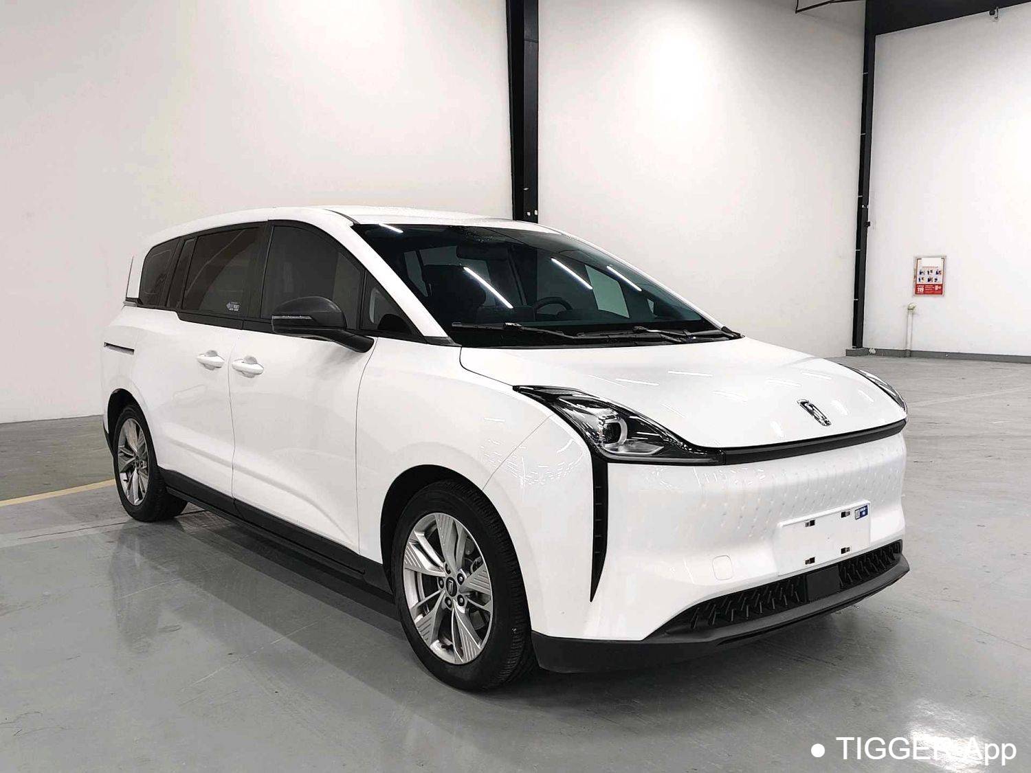 BESTUNE 2022 NAT Enjoyment Travel Edition 100kW 419km