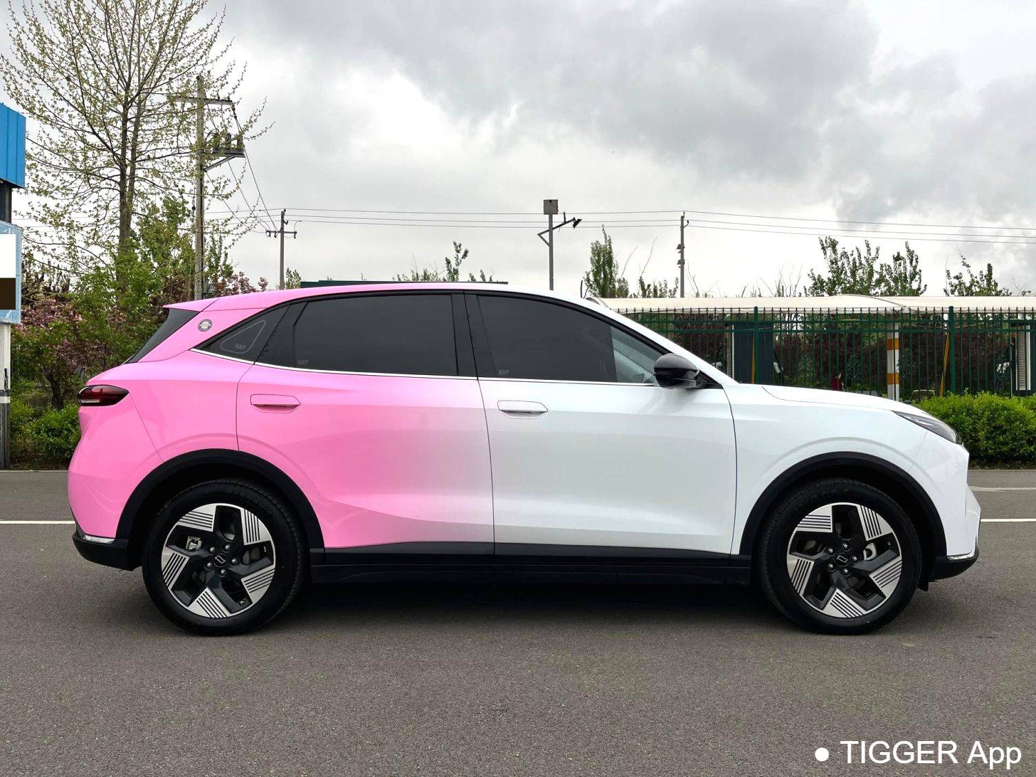 BESTUNE 2025 Yueyi 03 565km Ultimate Edition