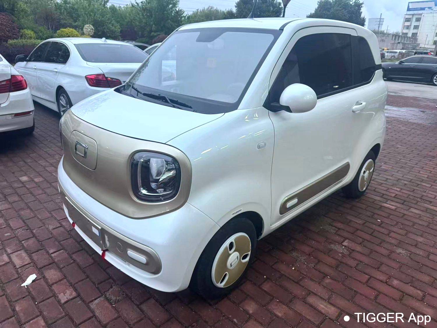 BESTUNE 2026 Penteng Pony 222km Sparkling Horse