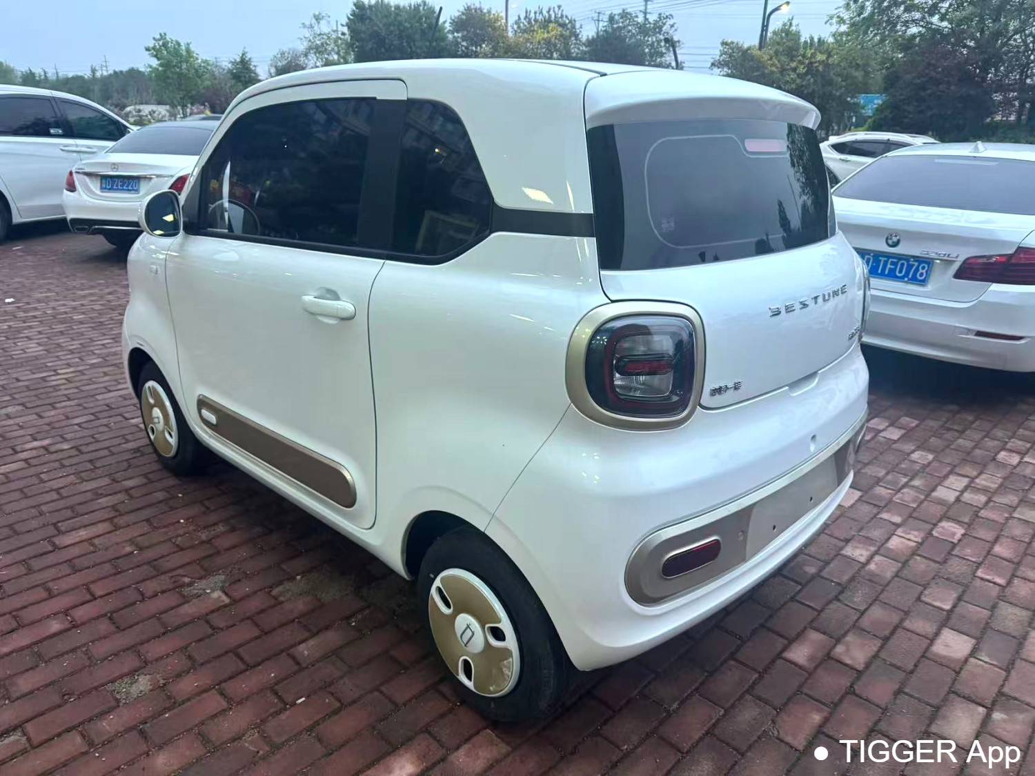 BESTUNE 2026 Penteng Pony 222km Sparkling Horse