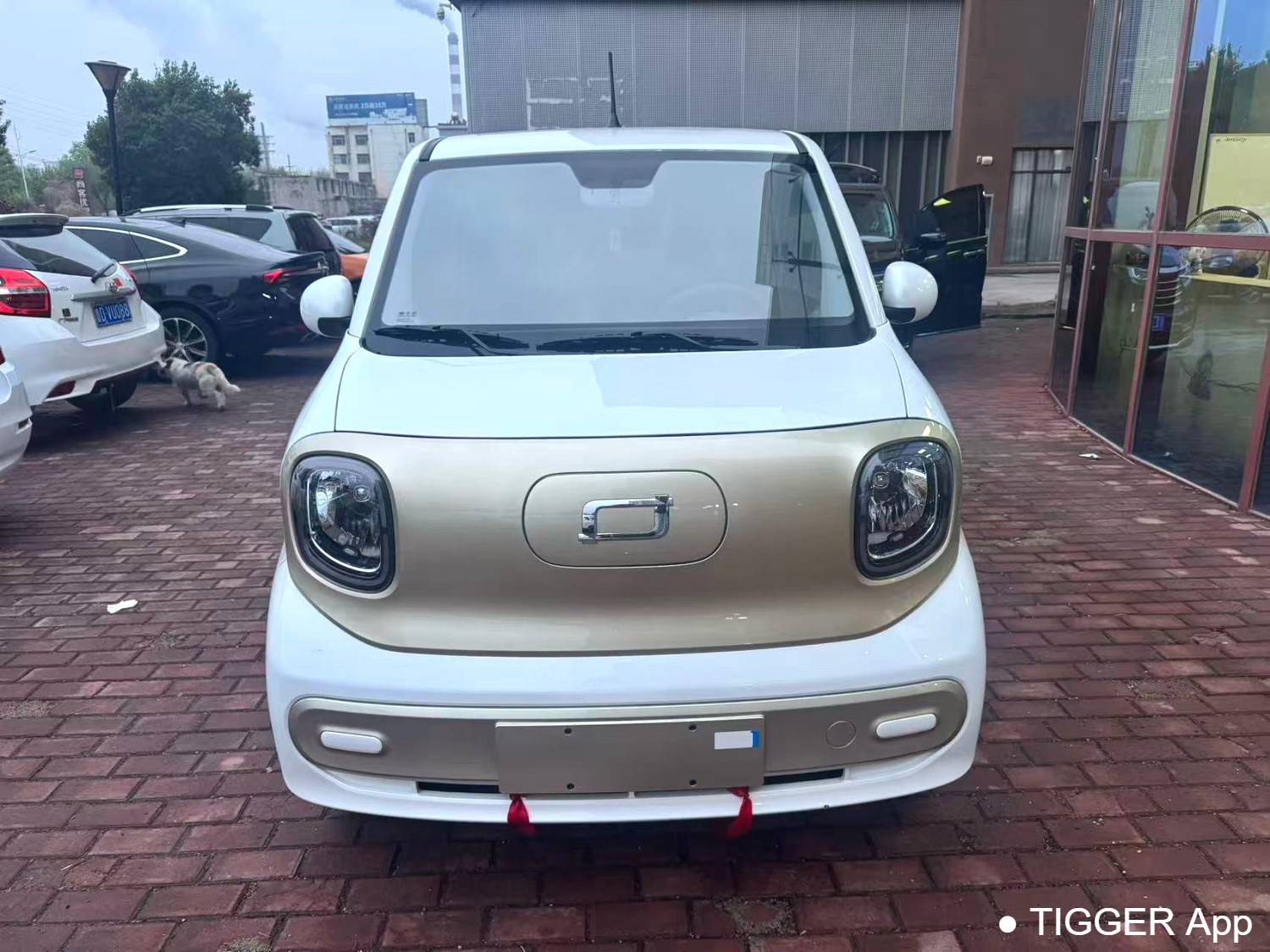 BESTUNE 2026 Penteng Pony 222km Sparkling Horse