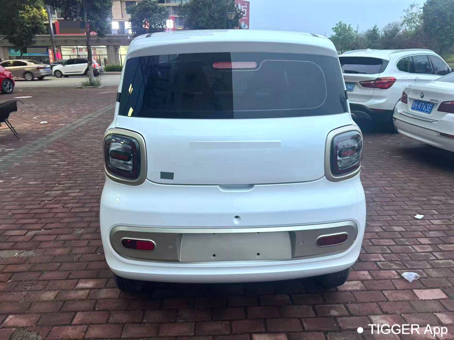 BESTUNE 2026 Penteng Pony 222km Sparkling Horse