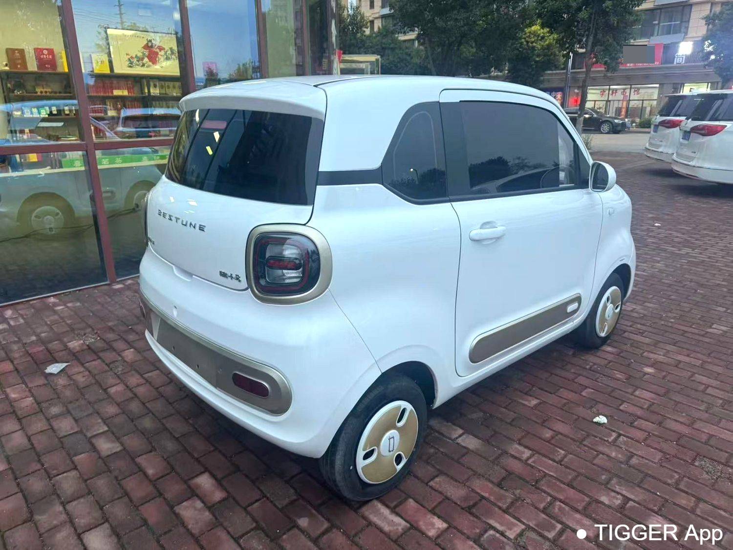 BESTUNE 2026 Penteng Pony 222km Sparkling Horse