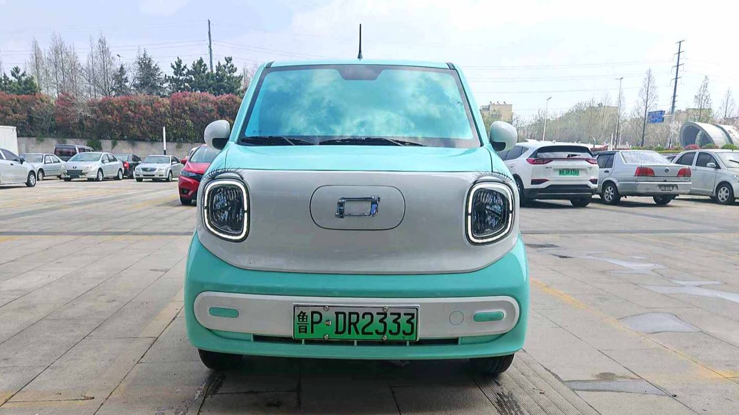 BESTUNE 2025 Penteng Pony 222km lightning horse