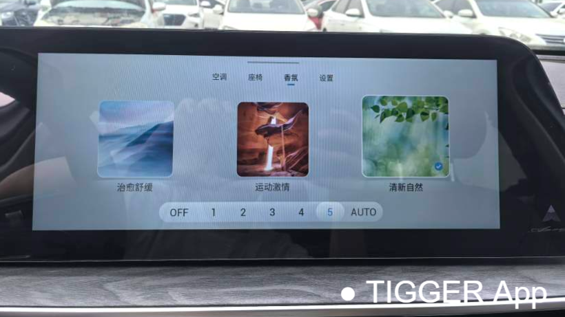 Chery 2025 ARRIZO 8 2.0T automatic control+