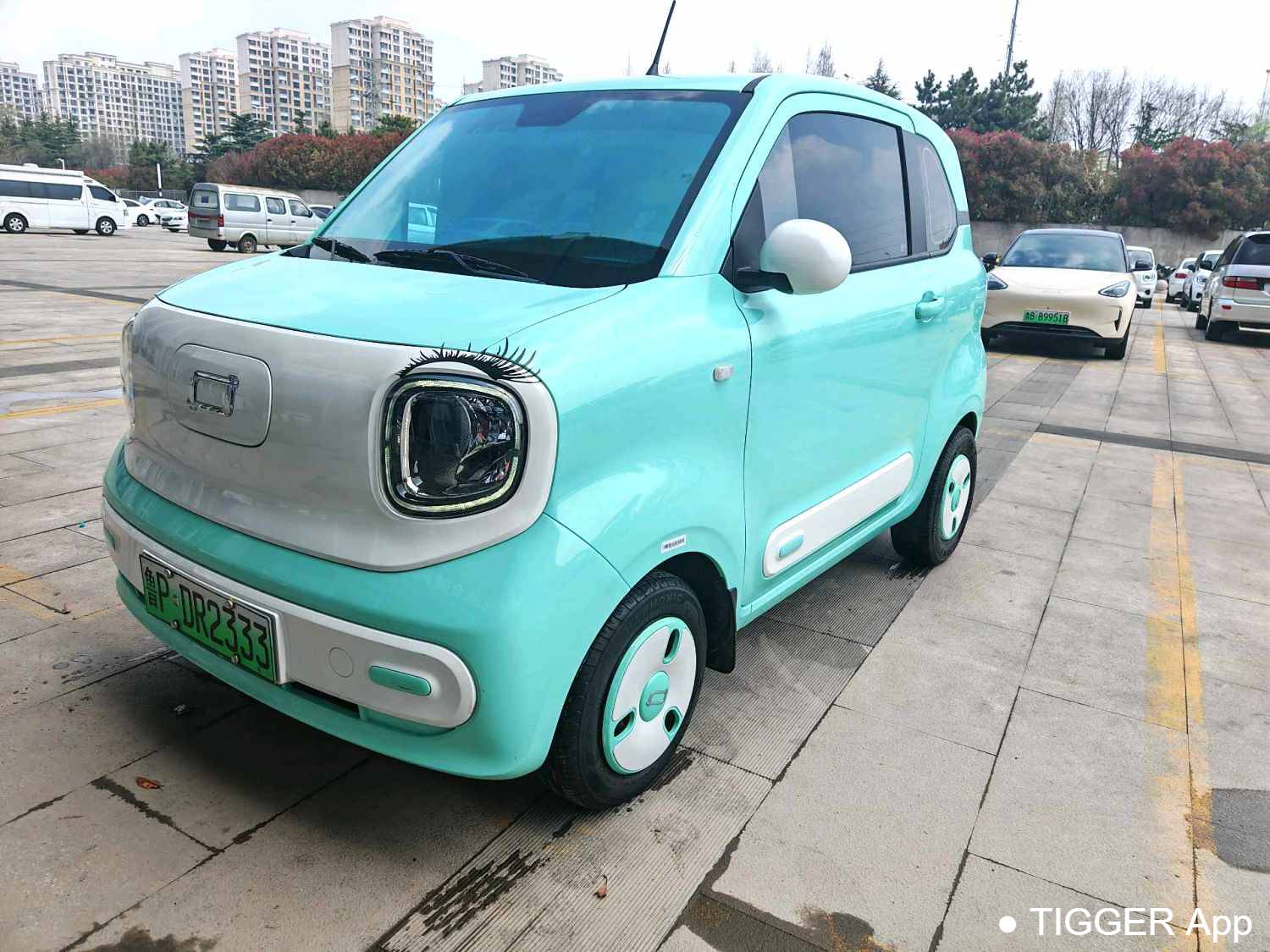 BESTUNE 2025 Penteng Pony 222km lightning horse