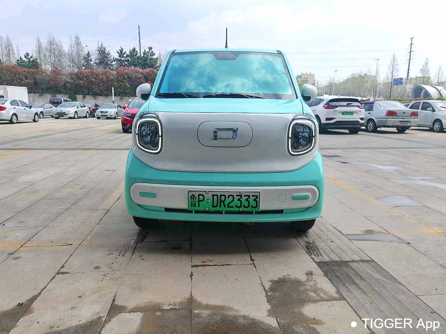 BESTUNE 2025 Penteng Pony 222km lightning horse