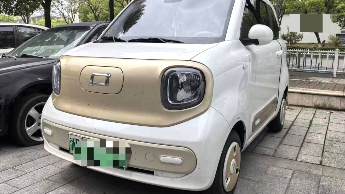 BESTUNE 2025 Penteng Pony 222km agile horse