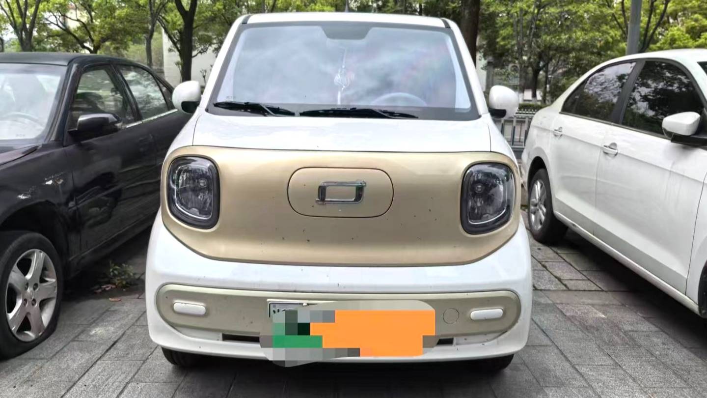 BESTUNE 2025 Penteng Pony 222km agile horse