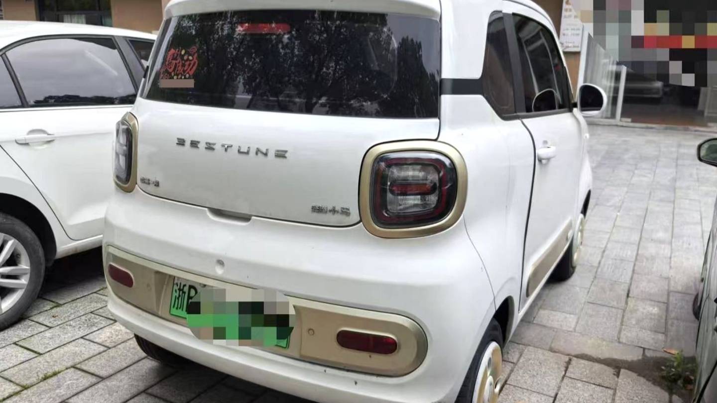 BESTUNE 2025 Penteng Pony 222km agile horse