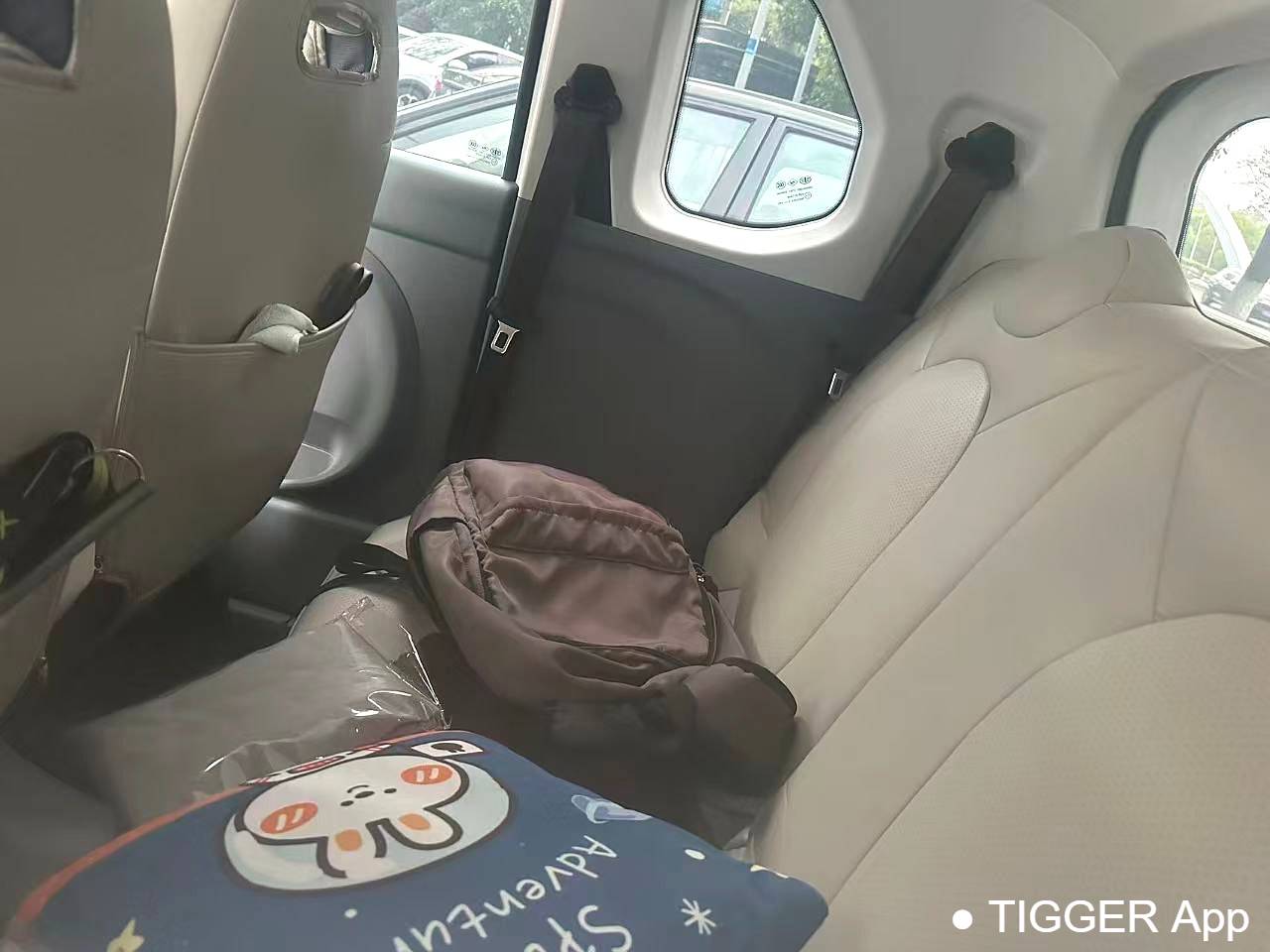 BESTUNE 2025 Penteng Pony 222km agile horse