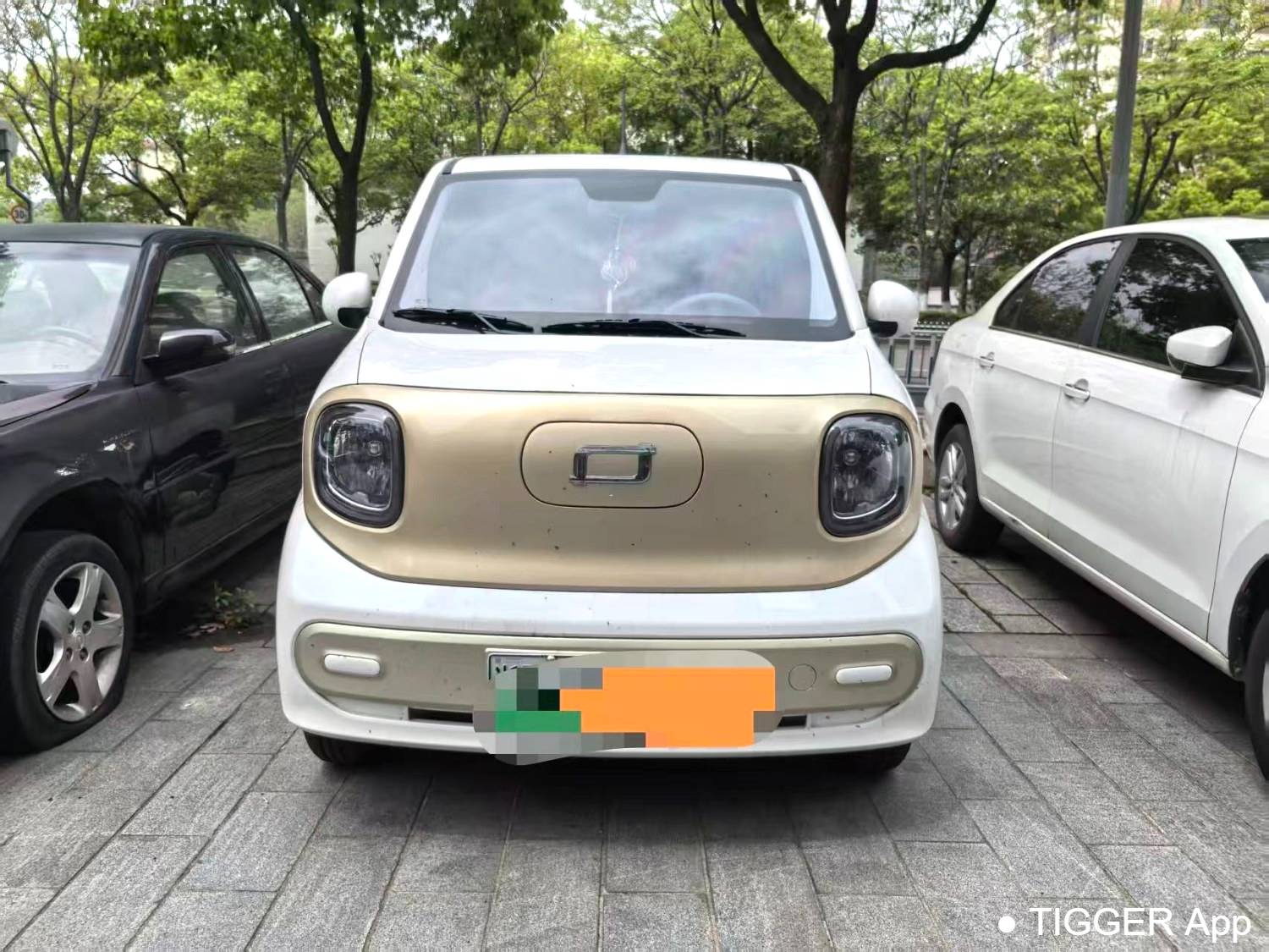 BESTUNE 2025 Penteng Pony 222km agile horse