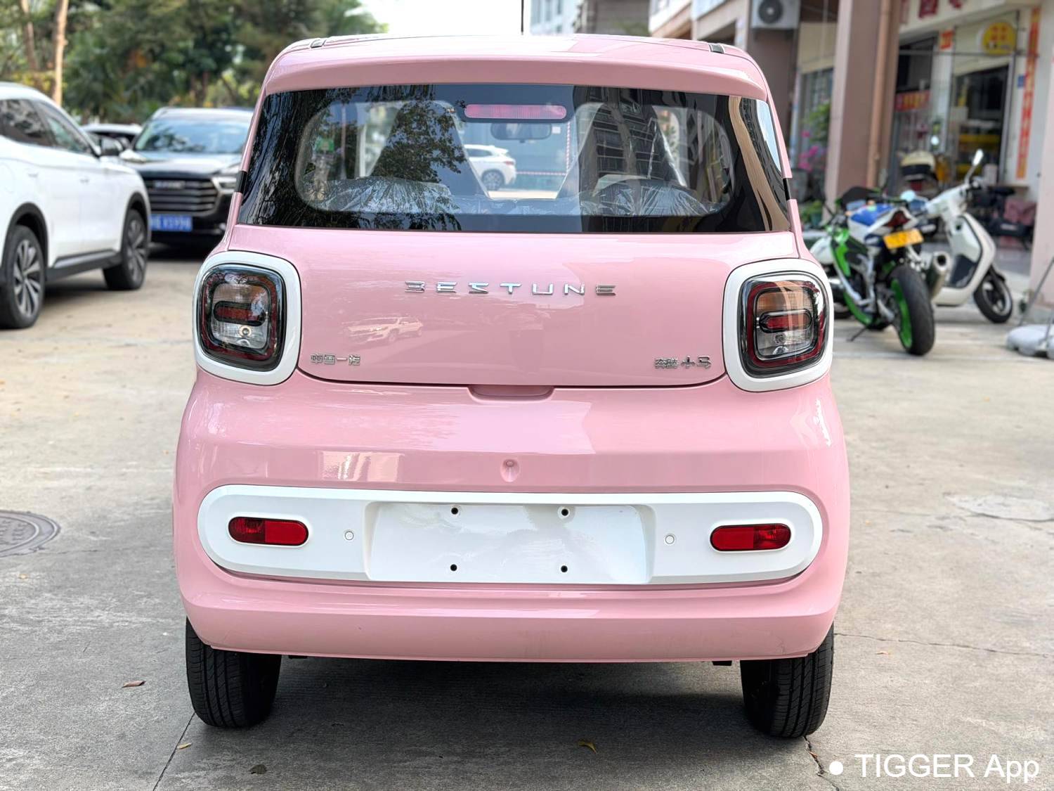 BESTUNE 2026 Penteng Pony 222km Glorious Horse