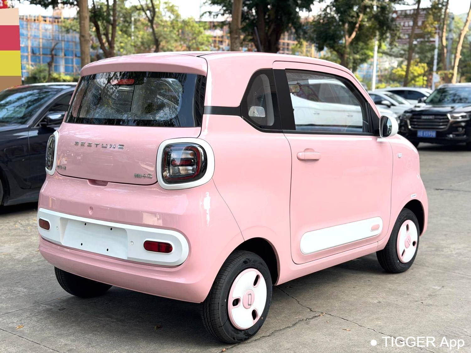 BESTUNE 2026 Penteng Pony 222km Glorious Horse