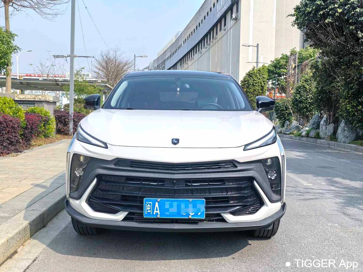 used FORTHING 2024 T5 EVO 1.5TD DCT Starry Sky Edition