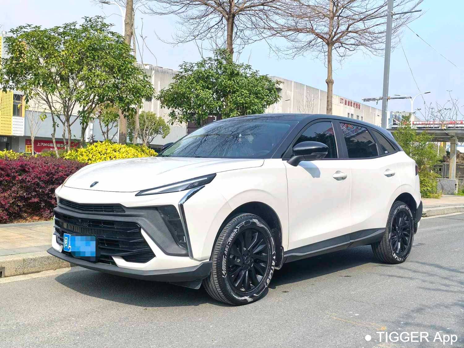 used FORTHING 2024 T5 EVO 1.5TD DCT Starry Sky Edition