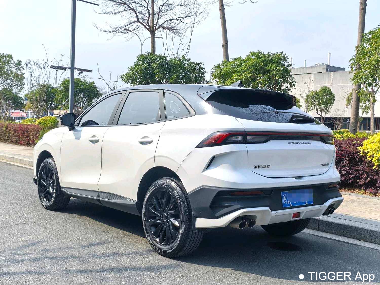 used FORTHING 2024 T5 EVO 1.5TD DCT Starry Sky Edition