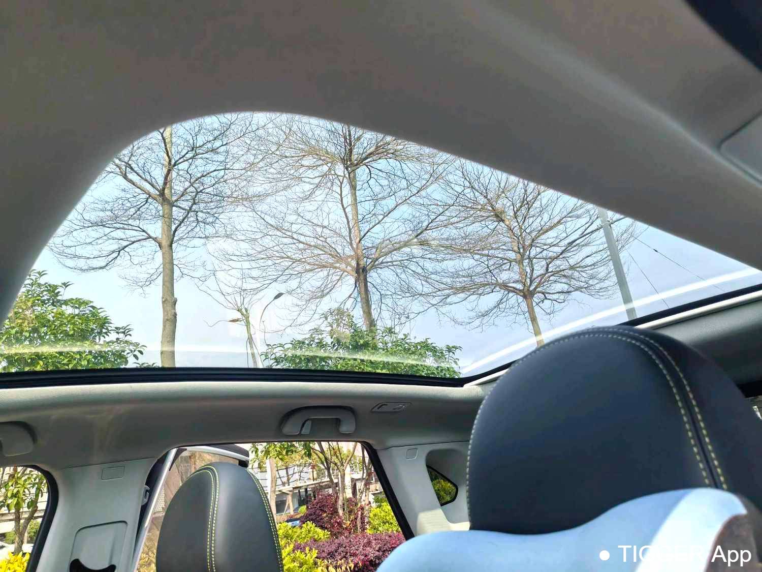 used FORTHING 2024 T5 EVO 1.5TD DCT Starry Sky Edition