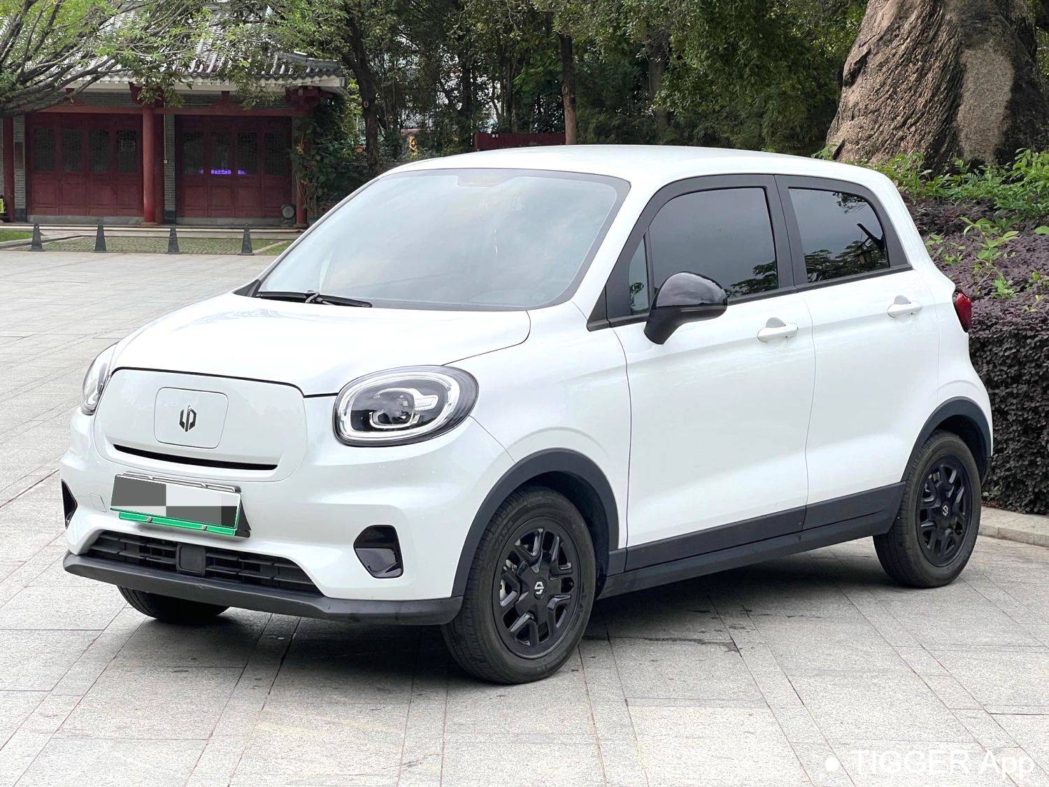 LEAP 2023 T03 310 Light Enjoy Edition